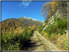 foto Salita all'Alpe Prial